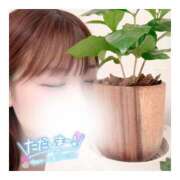 ヒメ日記 2025/05/12 04:32 投稿 すずね 京都出張メンズエステChou Chou（シュシュ)