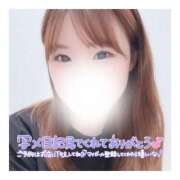 ヒメ日記 2025/05/30 03:20 投稿 すずね 京都出張メンズエステChou Chou（シュシュ)