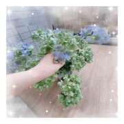 ヒメ日記 2025/06/17 16:40 投稿 すずね 京都出張メンズエステChou Chou（シュシュ)