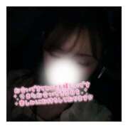 ヒメ日記 2025/07/29 03:40 投稿 すずね 京都出張メンズエステChou Chou（シュシュ)