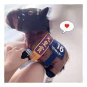 ヒメ日記 2025/08/20 12:50 投稿 すずね 京都出張メンズエステChou Chou（シュシュ)