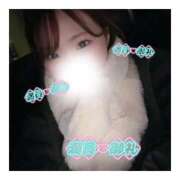 ヒメ日記 2026/01/16 00:37 投稿 すずね 京都出張メンズエステChou Chou（シュシュ)