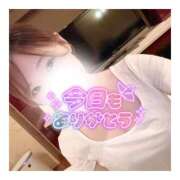 ヒメ日記 2026/02/03 02:40 投稿 すずね 京都出張メンズエステChou Chou（シュシュ)