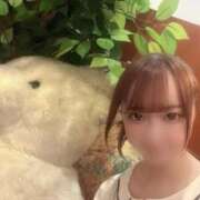 ヒメ日記 2024/12/10 14:20 投稿 れむ♡透明感MAX激カワ細身美女♡ 即生専門店ゴッドパイ