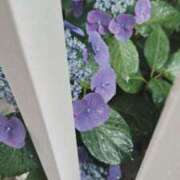 ヒメ日記 2025/06/14 12:20 投稿 真愛(まりあ) エスペランサ新館