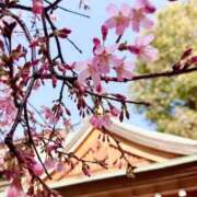 ヒメ日記 2026/03/01 20:51 投稿 真愛(まりあ) エスペランサ新館