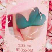 ヒメ日記 2024/12/10 16:42 投稿 たんぽぽ 熟女の風俗最終章 相模原店