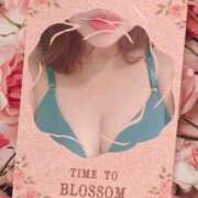 ヒメ日記 2025/04/07 18:31 投稿 たんぽぽ 熟女の風俗最終章 相模原店