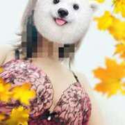 ヒメ日記 2025/10/09 15:28 投稿 たんぽぽ 熟女の風俗最終章 相模原店