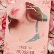 ヒメ日記 2025/11/12 17:00 投稿 たんぽぽ 熟女の風俗最終章 相模原店