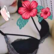 ヒメ日記 2025/07/26 02:24 投稿 紫苑(しおん) 相模原人妻城