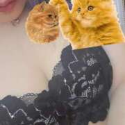 ヒメ日記 2025/12/27 02:18 投稿 紫苑(しおん) 相模原人妻城