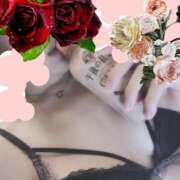 ヒメ日記 2026/04/17 00:48 投稿 紫苑(しおん) 相模原人妻城