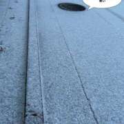 ヒメ日記 2026/01/26 12:18 投稿 いろは La vista （ラビスタ）