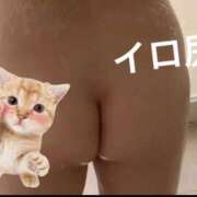 ヒメ日記 2026/03/01 07:08 投稿 いろは La vista （ラビスタ）