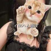 ヒメ日記 2026/06/03 18:51 投稿 いろは La vista （ラビスタ）