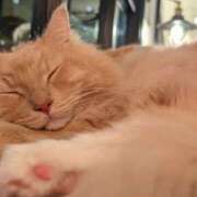 ヒメ日記 2025/08/22 17:44 投稿 やよい フィエスタ