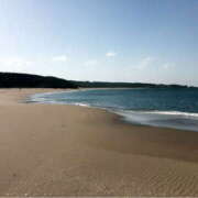 あい お詫び G-1八戸