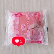 ヒメ日記 2025/03/25 19:53 投稿 堀北ゆき 西船橋快楽Ｍ性感倶楽部～前立腺マッサージ専門～