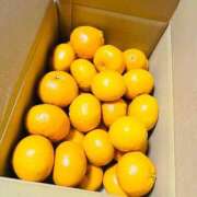 ヒメ日記 2025/02/08 10:22 投稿 ゆあの 池袋サンキュー