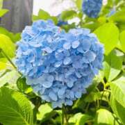 ヒメ日記 2026/06/13 10:41 投稿 ゆあの 池袋サンキュー