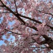 ヒメ日記 2025/04/04 13:26 投稿 まどか One More 奥様　西川口店