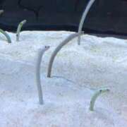 ヒメ日記 2025/10/04 11:02 投稿 まどか One More 奥様　西川口店