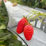 ヒメ日記 2026/03/28 22:10 投稿 まどか One More 奥様　西川口店