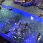 ヒメ日記 2026/03/29 09:26 投稿 まどか One More 奥様　西川口店