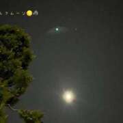 ヒメ日記 2025/01/15 22:21 投稿 雪平 紗良 東京貴楼館