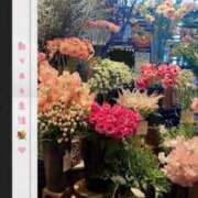 ヒメ日記 2025/02/26 17:21 投稿 雪平 紗良 東京貴楼館