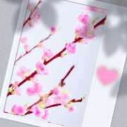 ヒメ日記 2025/03/17 18:21 投稿 雪平 紗良 東京貴楼館