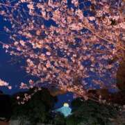 ヒメ日記 2025/04/04 22:31 投稿 雪平 紗良 東京貴楼館