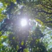 ヒメ日記 2025/05/14 20:53 投稿 雪平 紗良 東京貴楼館