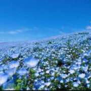 ヒメ日記 2025/05/19 17:43 投稿 雪平 紗良 東京貴楼館