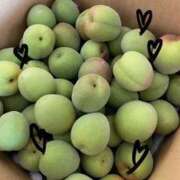 ヒメ日記 2025/05/28 19:05 投稿 雪平 紗良 東京貴楼館