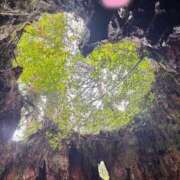 ヒメ日記 2025/06/07 19:23 投稿 雪平 紗良 東京貴楼館