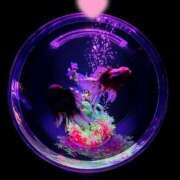 ヒメ日記 2025/07/20 08:23 投稿 雪平 紗良 東京貴楼館