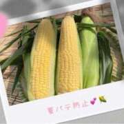 ヒメ日記 2025/07/29 21:33 投稿 雪平 紗良 東京貴楼館