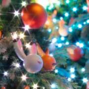 雪平 紗良 日曜日のひととき🫶 東京貴楼館