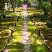 雪平 紗良 お願い事🤫 東京貴楼館