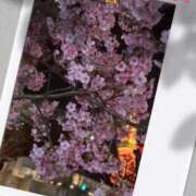 ヒメ日記 2026/03/02 20:09 投稿 雪平 紗良 東京貴楼館