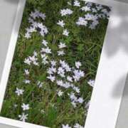 ヒメ日記 2026/03/23 21:19 投稿 雪平 紗良 東京貴楼館