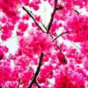 ヒメ日記 2026/03/27 18:19 投稿 雪平 紗良 東京貴楼館