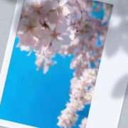 ヒメ日記 2026/03/30 21:29 投稿 雪平 紗良 東京貴楼館