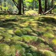 ヒメ日記 2026/03/31 20:39 投稿 雪平 紗良 東京貴楼館