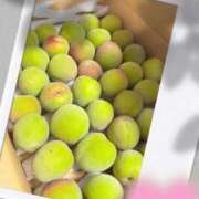 ヒメ日記 2026/05/19 21:45 投稿 雪平 紗良 東京貴楼館