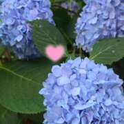 ヒメ日記 2026/06/03 20:43 投稿 雪平 紗良 東京貴楼館