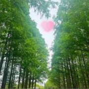 ヒメ日記 2026/09/05 01:01 投稿 雪平 紗良 東京貴楼館