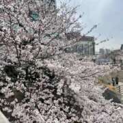 ヒメ日記 2025/04/07 08:42 投稿 もえ 完熟ばなな神戸・三宮店